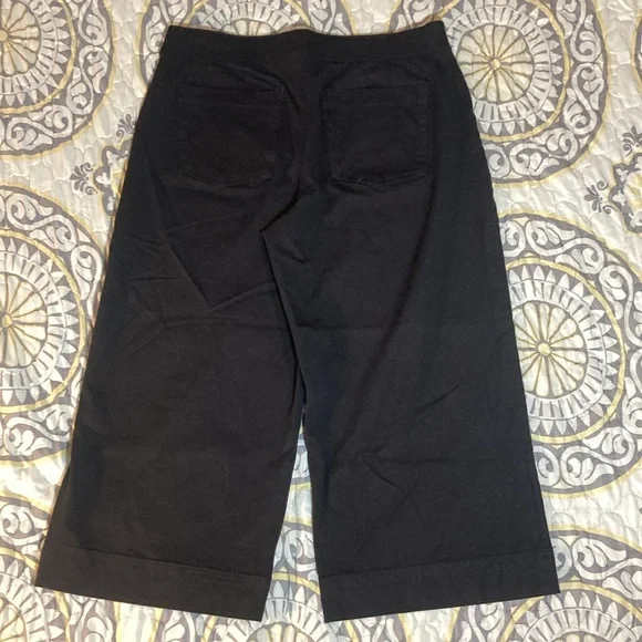 Spanx Black Wide Leg Capri Pull On Pant Size XL Petite - Picture 11 of 15